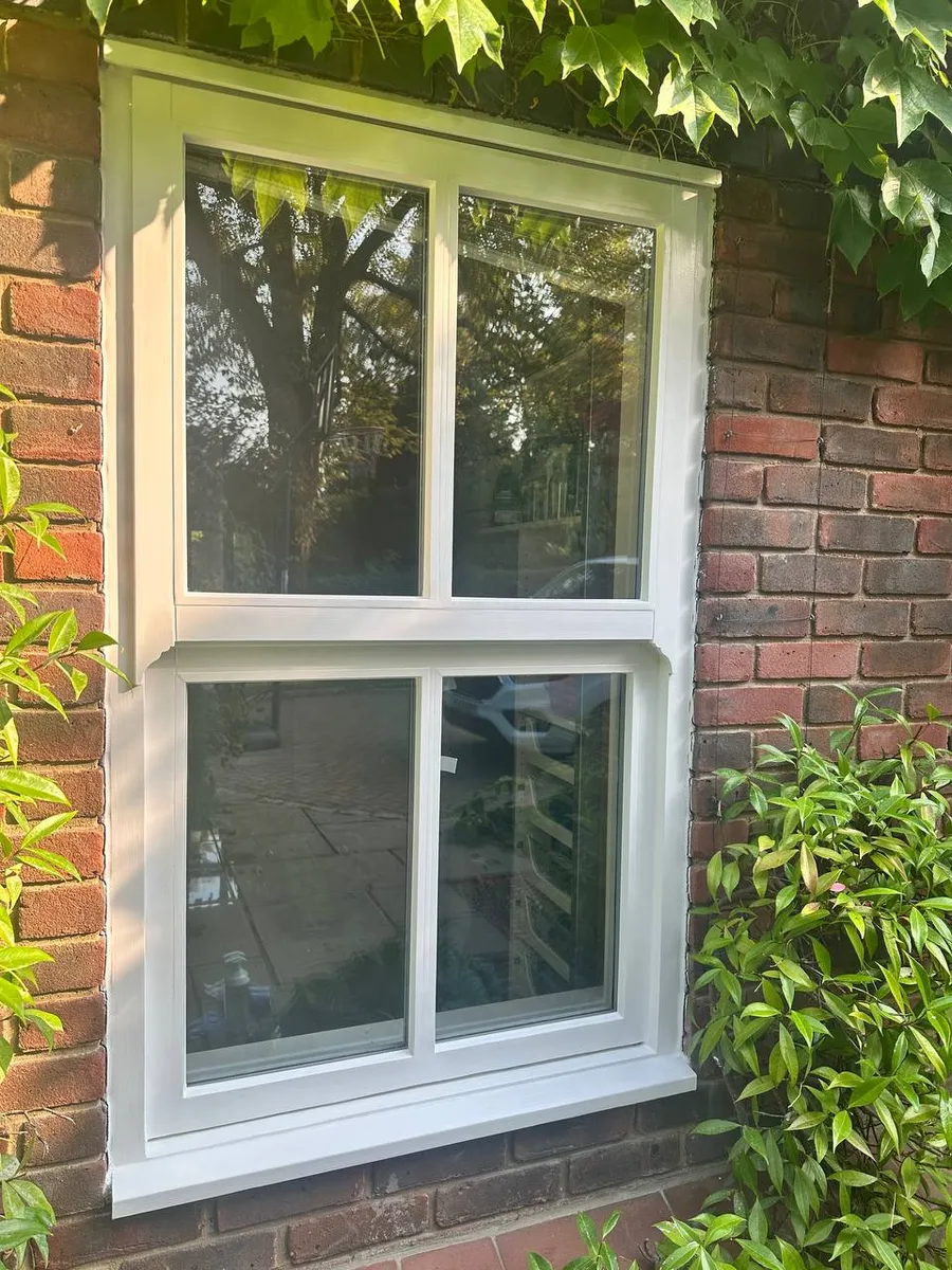 Newly restored white sash window in a red-brick wall framed by ivy and shrubs in sunlight